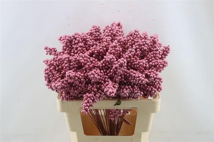 <h4>Berries Small Pink Metallic</h4>