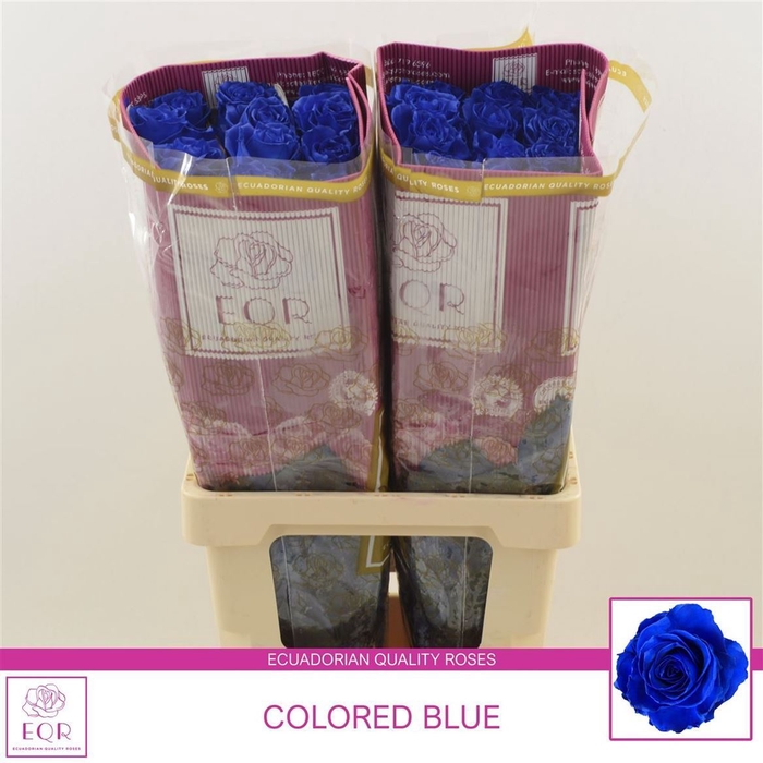 <h4>Rosa gr Colored | Blauw</h4>