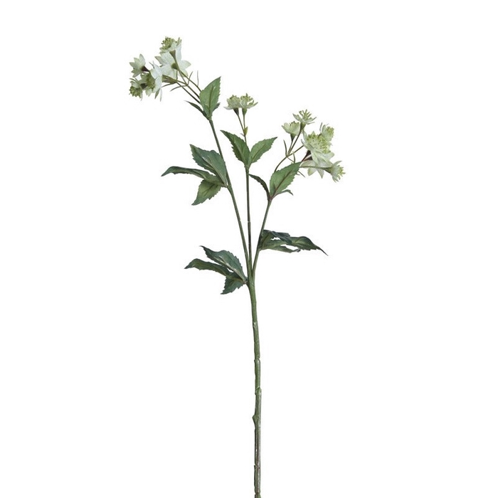 <h4>Artificial flowers Astrantia 50cm</h4>