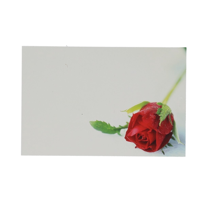 <h4>Kaart 9*6cm x50 Red Rosebud</h4>