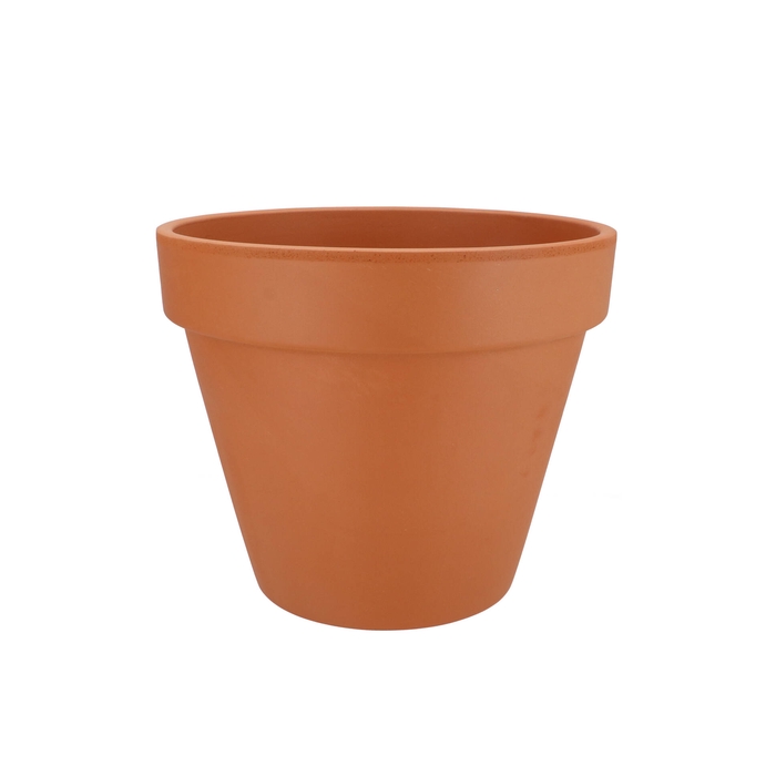 <h4>Terracotta Basic Pot 25cm</h4>
