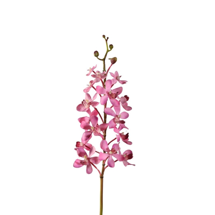<h4>Kunstbloemen Orchid Vanda 70cm</h4>
