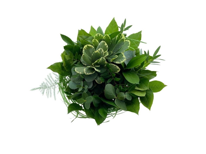 Bouquet sisal green medium