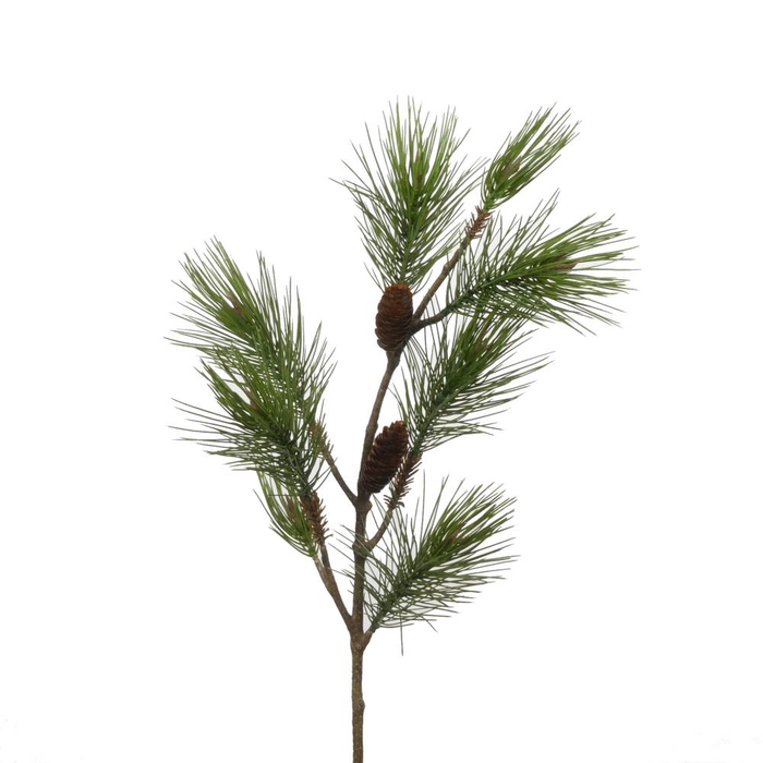 <h4>Af Pinus L97cm Green</h4>