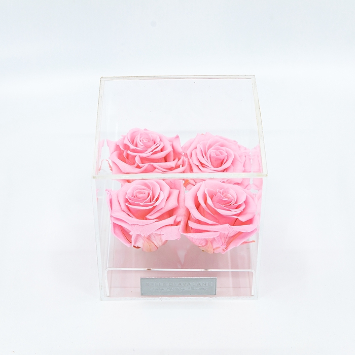 Plexi 12.5cm roze rozen