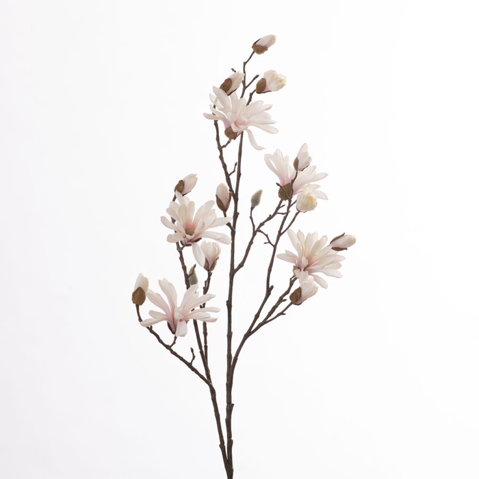 <h4>Af Magnolia L103cm Cream/pink</h4>