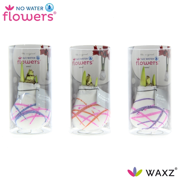 No Water Flowers Waxz® Art Karel Appel in koker