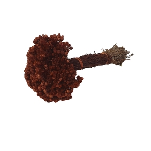 DRIED FLOWERS - IMMORTELLE BROWN