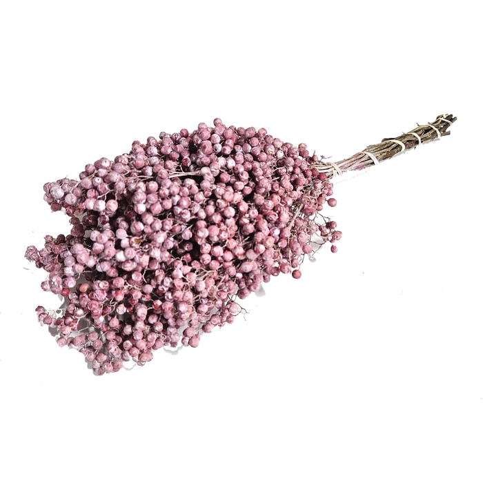 <h4>Pepperberries per bunch in poly Frosted Pink</h4>