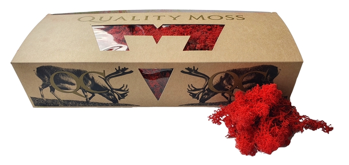 Reindeer moss 500gr in box Red