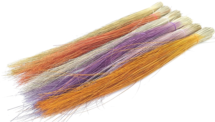 Beargrass per bunch lgt 70cm Mixed Colours