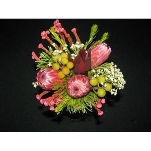 Protea 2 Flower Bouquet Tint