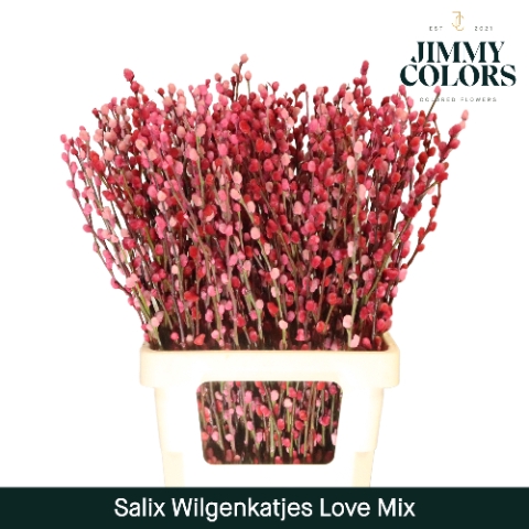 <h4>Salix paint pussy willow mix love</h4>