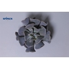 Echeveria Cubic Frost Cutflower Wincx-8cm