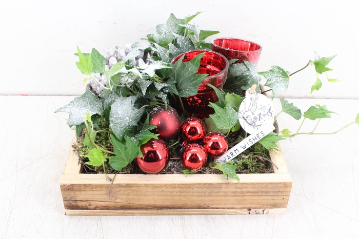 arr. PL Hedera - Hout tray 4kant -