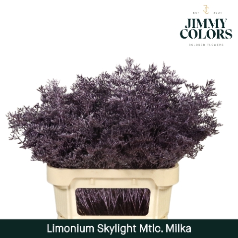 <h4>Limonium skylight paint milka</h4>