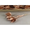 Df Palm Spear Small Copper