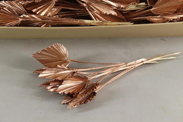 <h4>Df Palm Spear Small Copper</h4>