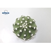 Cactus Subdenudata Cutflower Wincx-10cm