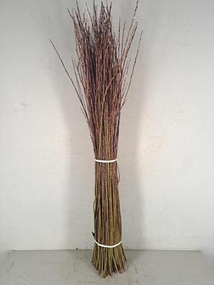 <h4>Willow Bundle 100-120cm</h4>