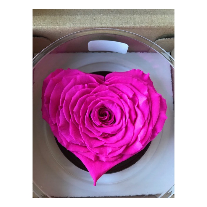 <h4>PRESERVED ROSES HEART XXL PIN-07</h4>