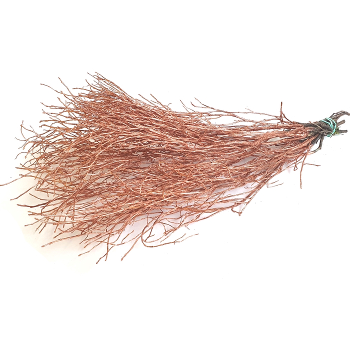 <h4>Huckelberry 10st a bunch Copper</h4>