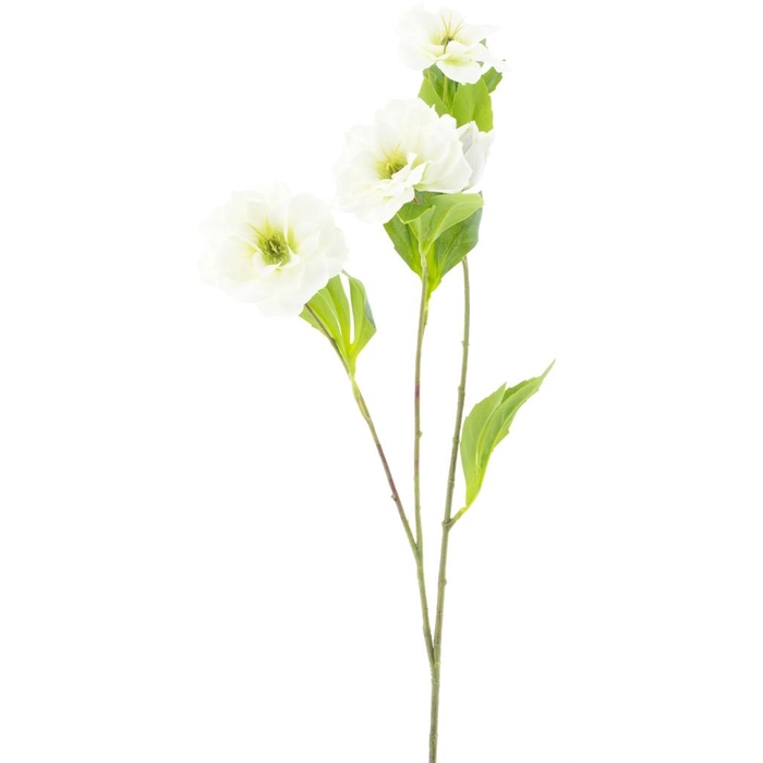 <h4>SILK FLOWERS - HELLEBORUS SPRAY WHITE 65CM</h4>