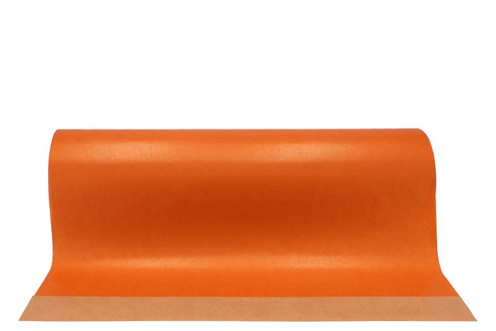 <h4>Paper on the roll orange 60cm a 12 kilo</h4>