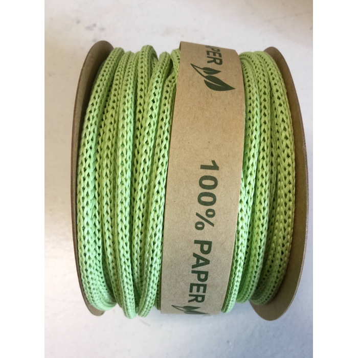 <h4>PAPERY CORD 25MX4MM LIGHT GREEN</h4>