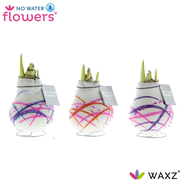 No Water Flowers Waxz® Art Karel Appel