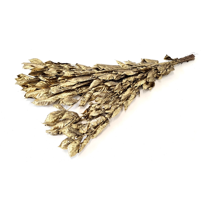 <h4>Jasminum leaves 60cm ±10pc per bunch preserved Gold</h4>