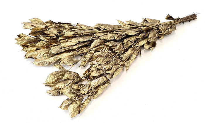 Jasminum leaves 60cm ±10pc per bunch preserved Gold
