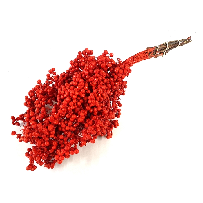 <h4>Pepperberries per bunch in poly Red + Glitter</h4>
