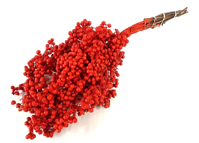 Pepperberries per bunch in poly Red + Glitter