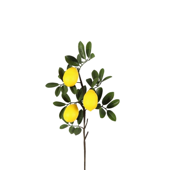 Kunstplanten Lemon 81cm