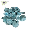 Golden mushroom 100gr in poly pearl blue