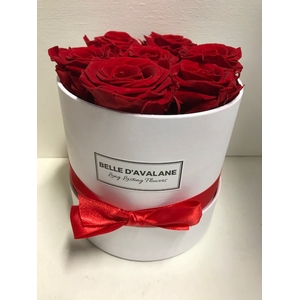 Flowerbox rd 15cm wit/rood