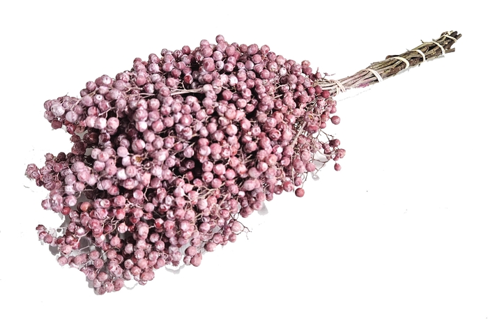 <h4>Pepperberries per bunch in poly frosted pink</h4>