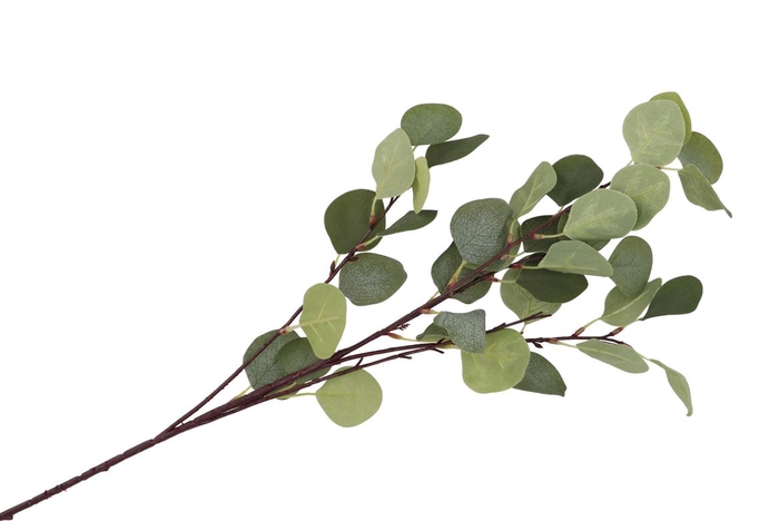 <h4>Silk Eucalyptus Branch Green 17x90cm</h4>