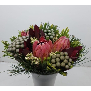 Bqt - 3 Protea/Albiflora Bouquet (P/bunch)
