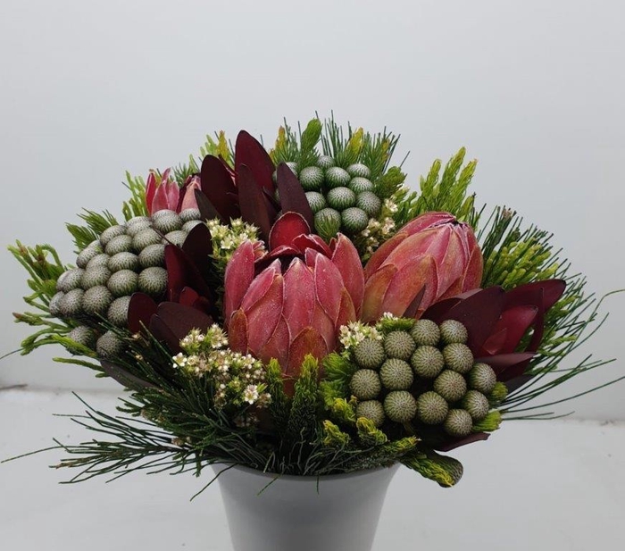 Bqt - 3 Protea/Albiflora Bouquet (P/bunch)