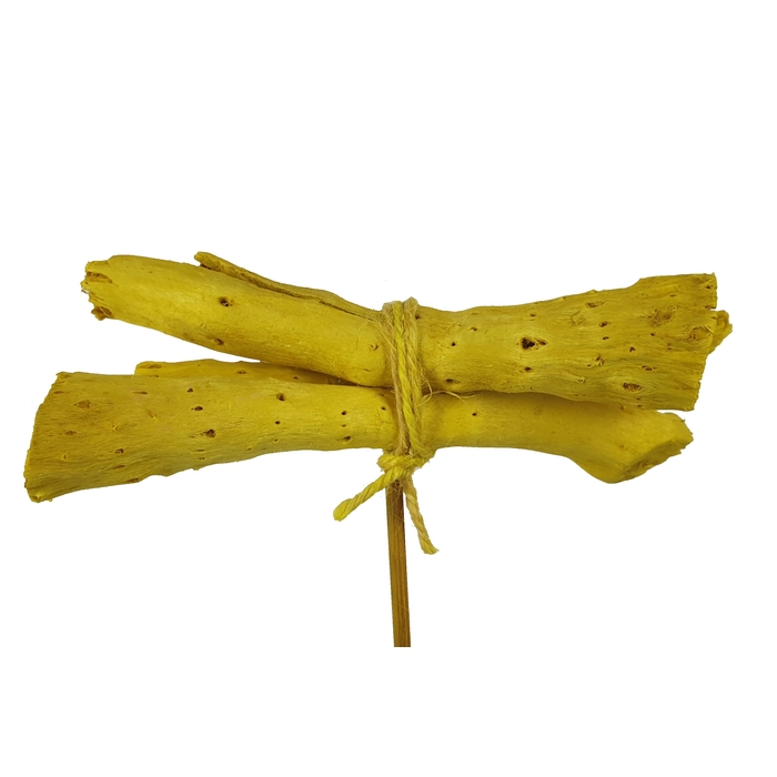 <h4>Gandiraj on stem Yellow</h4>