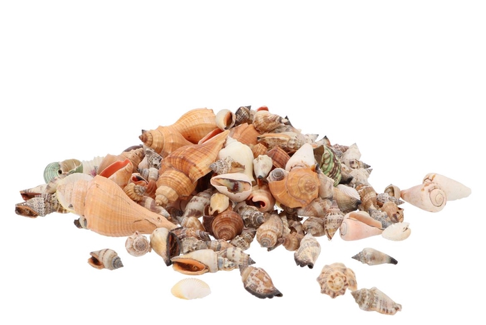 <h4>Shell Mix Large A 1 Kg</h4>