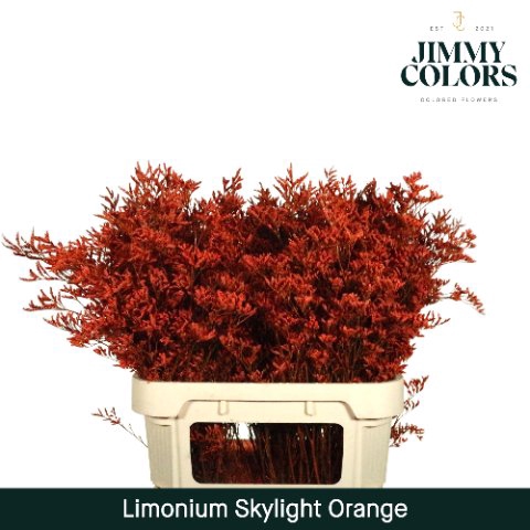 <h4>Limonium skylight paint orange</h4>