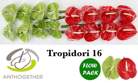 ANTH A TROPIDORI GEM 16 Flow Pack