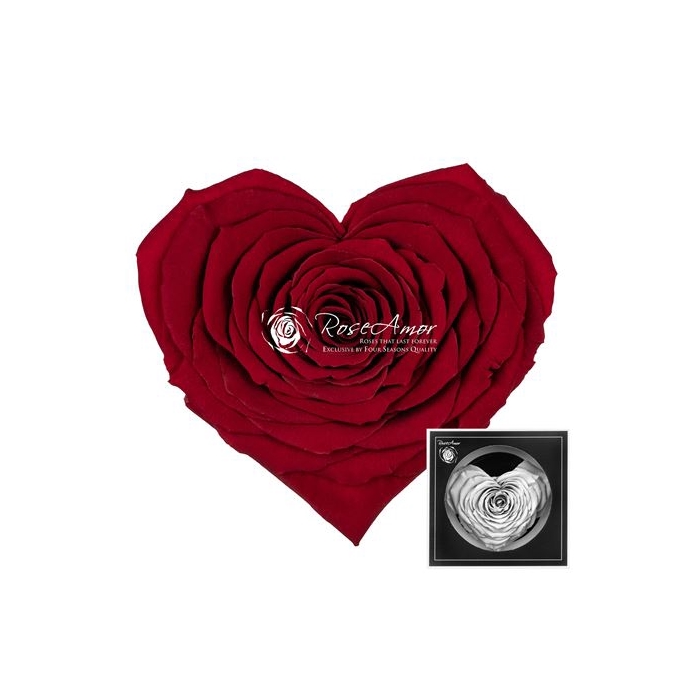 <h4>Corazon Red01</h4>
