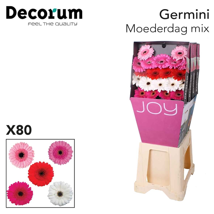 <h4>Germini Mix Moederdag Diamond</h4>