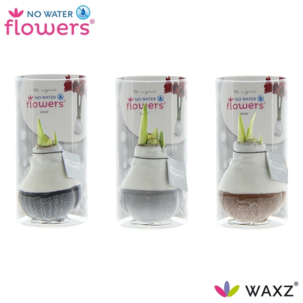 <h4>No Water Flowers Waxz® Dipz Natural in koker</h4>