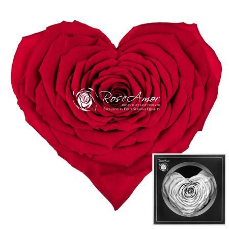 <h4>Pres Corazon Red02</h4>