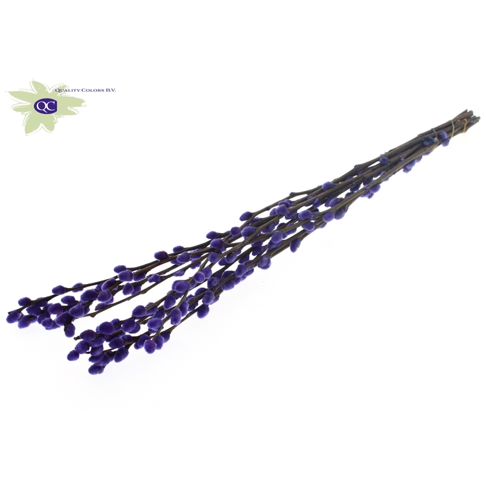 <h4>Pussy Willow 60cm Milka</h4>